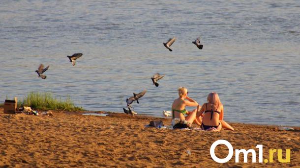 Определили компанию, которая благоустроит пляж у озера под Омском