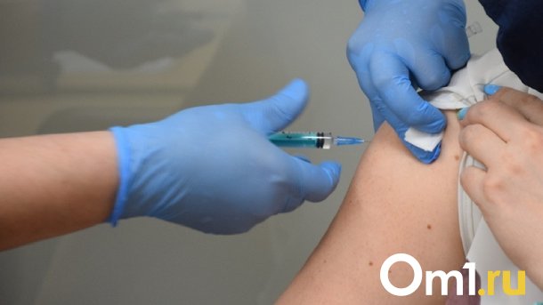 В Омской области каждый десятый клещ оказался переносчиком болезни Лайма