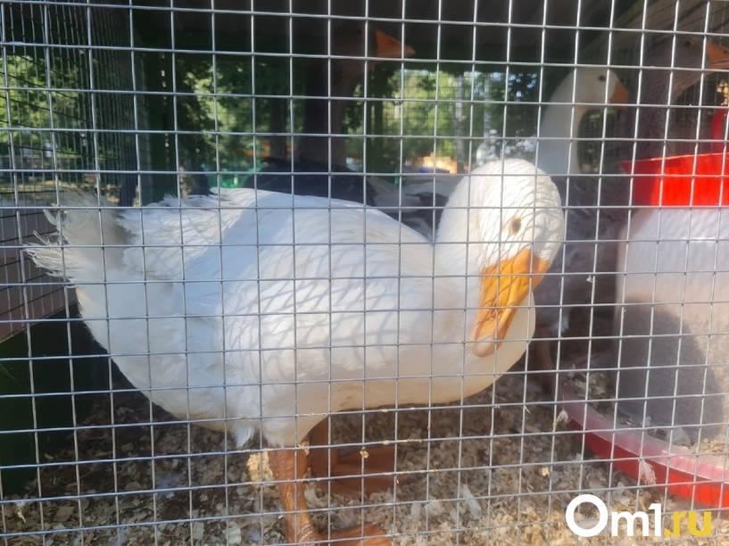 Изображение фоторепортажа