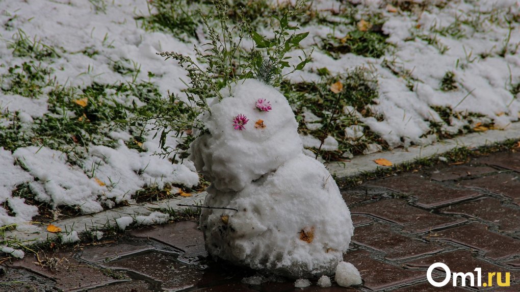 В Омске выпал первый снег
