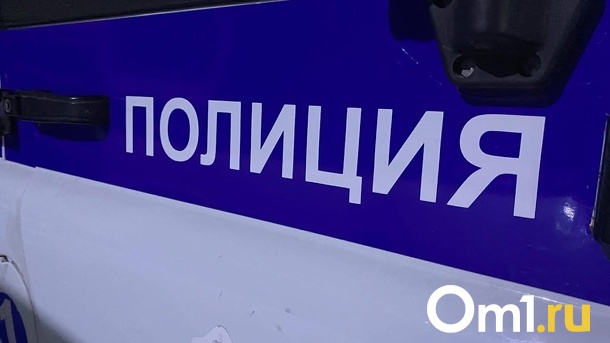 Пока сладко спала, омичку в такси обокрал второй пассажир