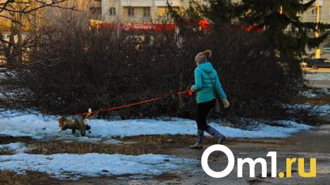 Жительницы Новосибирска обвиняют друг друга в потопах