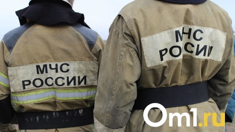 Пенсионерка погибла в горящем здании в Новосибирске