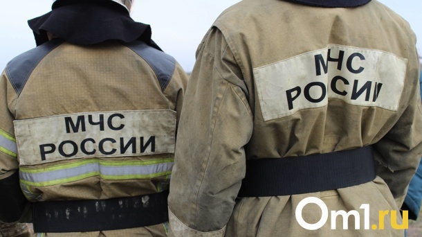 Пенсионерка погибла в горящем здании в Новосибирске