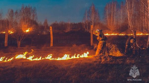 В Омской области резко возросло количество пожаров