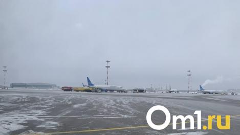 Из Омска запустят рейсы в хорошо забытый аэропорт