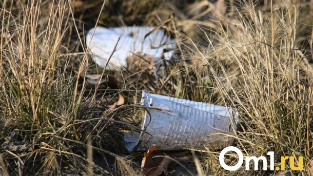 Омичи выйдут на уборку города в рамках средника