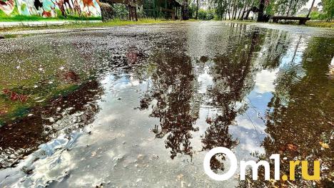 В Омске 8-летний мальчик получил ожог, наступив в лужу