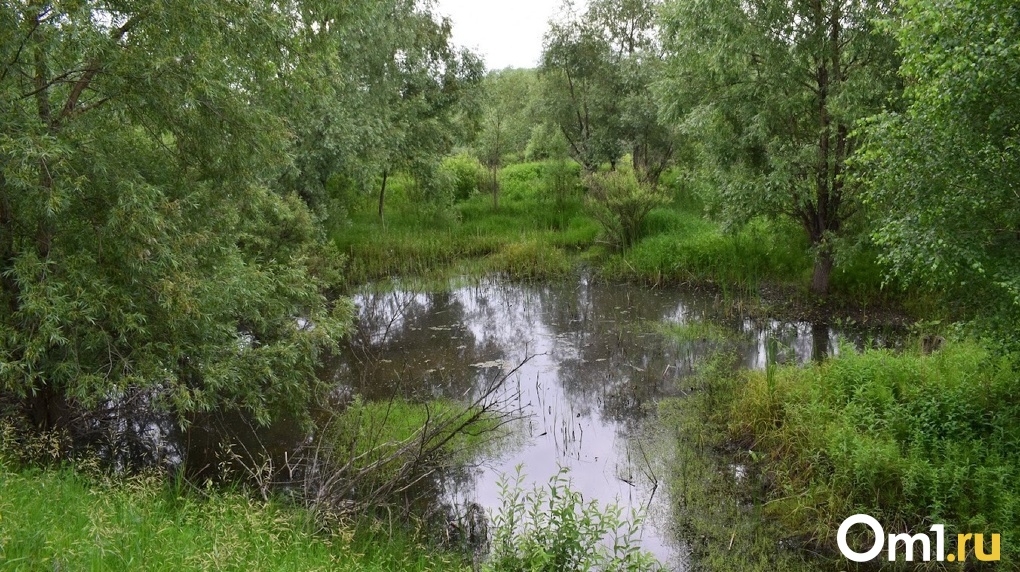 В реке Оша в Омской области утонул ещё один ребёнок