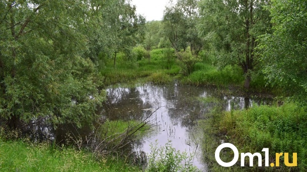 В реке Оша в Омской области утонул ещё один ребёнок