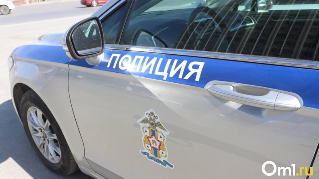Омские полицейские поймали на дорогах почти два десятка опасных водителей
