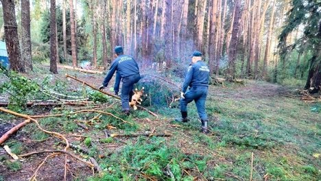 Восемь человек погибли во время урагана в Приволжье