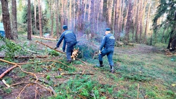 Восемь человек погибли во время урагана в Приволжье