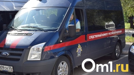 Глава СК РФ Бастрыкин поручил доложить об обстоятельствах гибели ребёнка на уроке в Новосибирской области