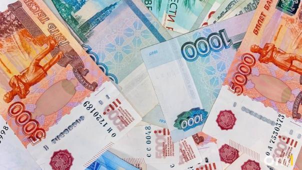 24 миллиона на футбол: руководство ФК «Новосибирск» обвиняют в хищении бюджетных средств
