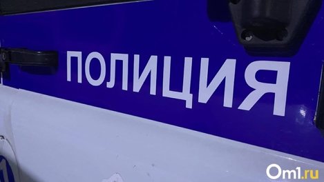 В Омске молодой парень ограбил бывшего работодателя, чтобы попрыгать на батутах