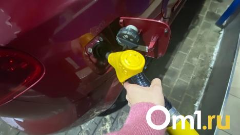 На трёх омских заправках вновь выросли цены на бензин