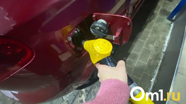 На трёх омских заправках вновь выросли цены на бензин