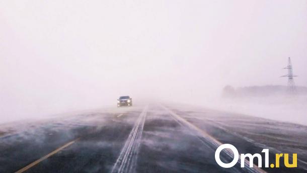 Календарная зима в Омске начнётся с мощного снегопада