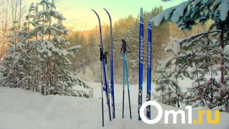 В Новосибирске планируют реконструкцию двухэтажного лыжного комплекса с лыжероллерной трассой