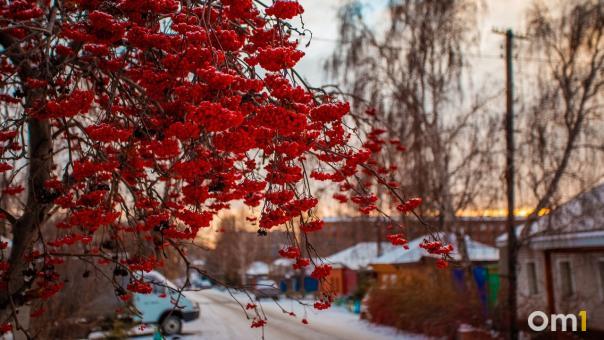 Сильные холода вернутся в Омск в начале недели