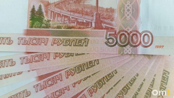 В Новосибирске назвали самые высокооплачиваемые профессии февраля-2024
