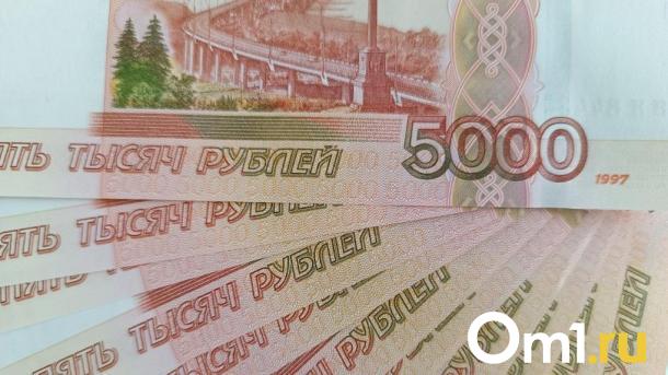 В Новосибирске назвали самые высокооплачиваемые профессии февраля-2024