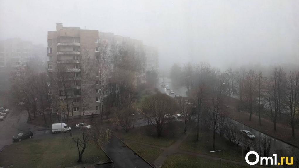 Дожди и мокрый снег: конец рабочей недели в Омске будет пасмурным