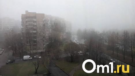 Дожди и мокрый снег: конец рабочей недели в Омске будет пасмурным