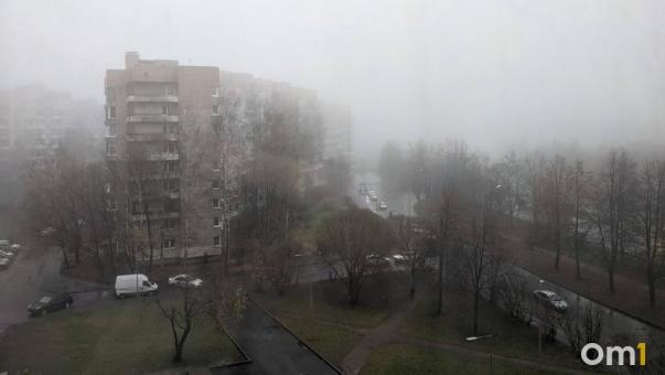 Дожди и мокрый снег: конец рабочей недели в Омске будет пасмурным