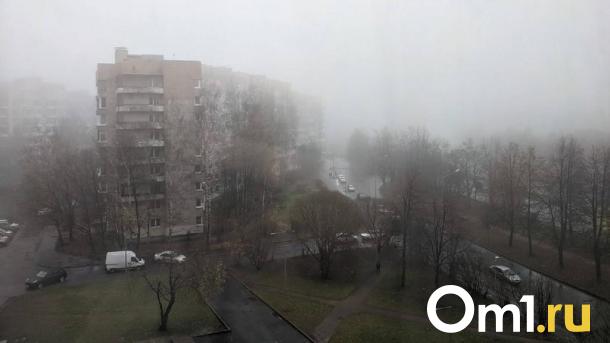 Дожди и мокрый снег: конец рабочей недели в Омске будет пасмурным