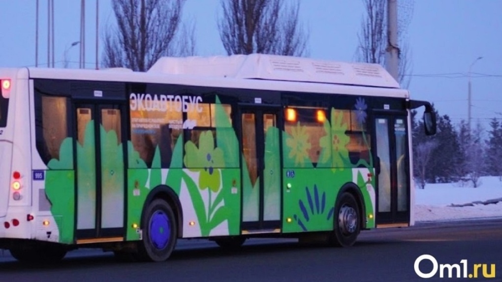 В Новосибирской области из-за метели ограничили движение рейсовых автобусов