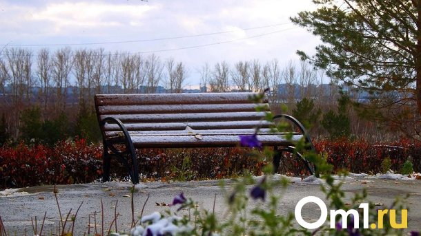 Сергей Шелест: «На уборку омских улиц направлено 322 единицы спецтехники»