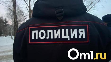 Пожилой мужчина, которого искали в Омске, провалился под лёд