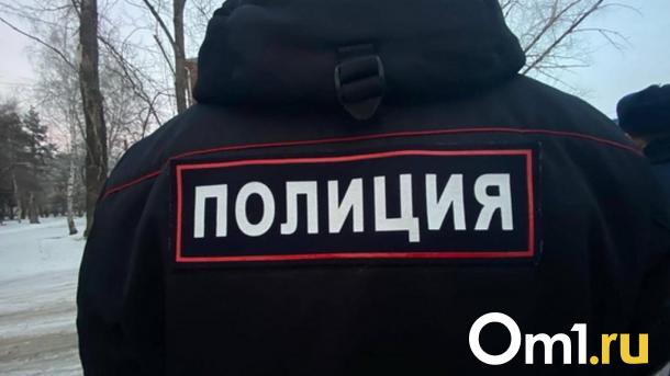 Пожилой мужчина, которого искали в Омске, провалился под лёд