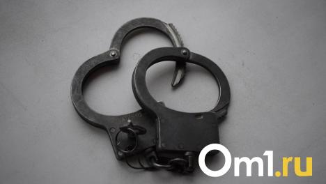 В Омске заведено уголовное дело на одного из подчинённых экс-министра Куприянова