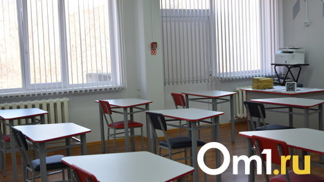 Омские школы будут обучать детей профориентации