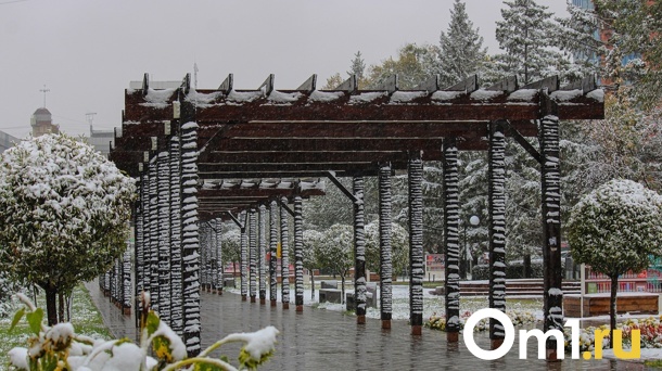 Синоптики назвали точную дату, когда в Омской области ляжет снег