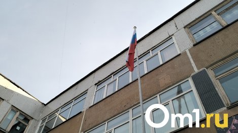Переполненную школу на улице Фадеева в Новосибирске собираются реконструировать