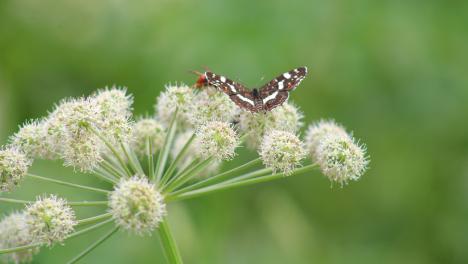 Дождь и солнце: какой будет погода в Омске на новой неделе