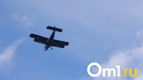 В Омске разобрали все билеты на первый авиарейс в Усть-Ишим