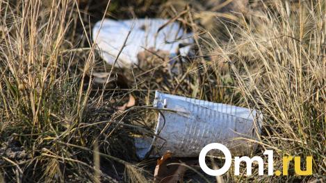 В Омске объявили дату общегородского осеннего субботника