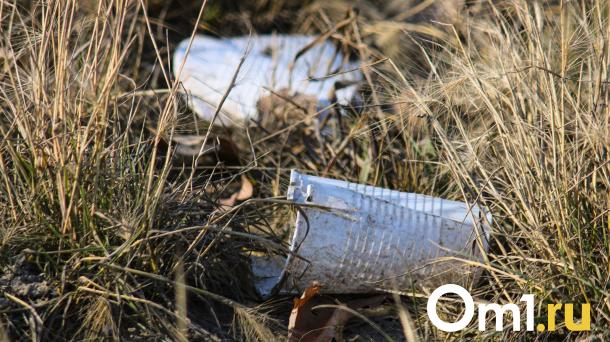 В Омске объявили дату общегородского осеннего субботника