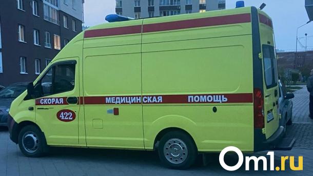 В Омской области пьяный внук сломал бабушке ногу её же тростью