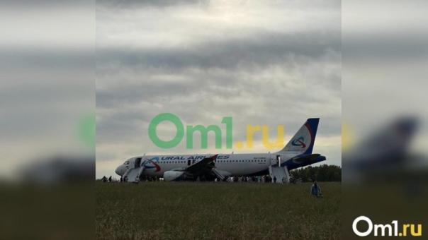 С наступлением холодов самолёт рейса Сочи-Омск может взлететь прямо с поля