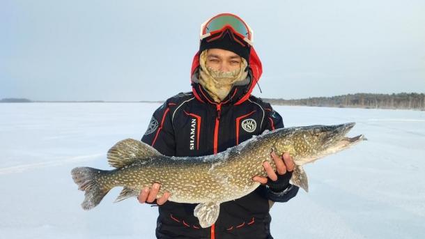 Громадную щуку выловил новосибирский рыбак на озере Тенис