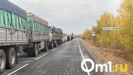 Огромная очередь: новосибирец показал, что сейчас происходит на казахстанско-российской границе