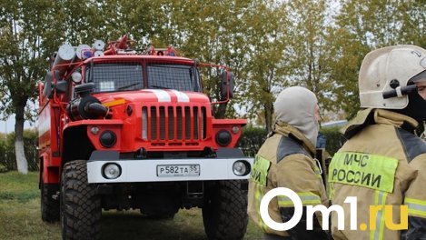 На Омской трассе сгорела гружённая пивом ГАЗель