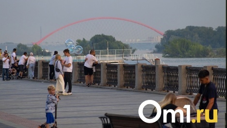 Лето в Новосибирске: обзор городских локаций для работы и досуга в городе