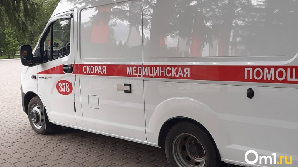 Иномарка насмерть сбила пожилого пешехода в Новосибирской области
